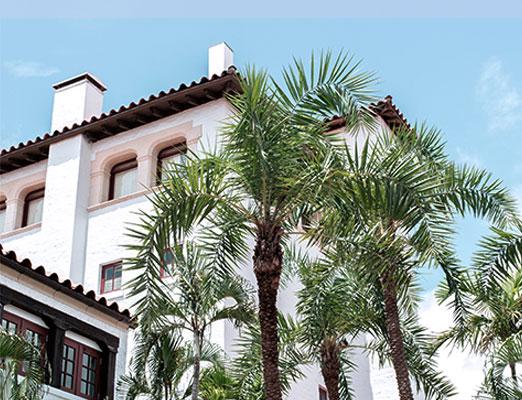 palm tree in front of a house with a blue sky in the background